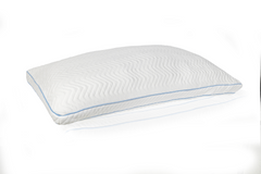 In the Box Luxury Bamboo Memory Foam Pillow